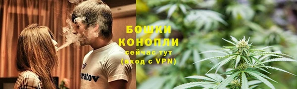 apvp Гусиноозёрск